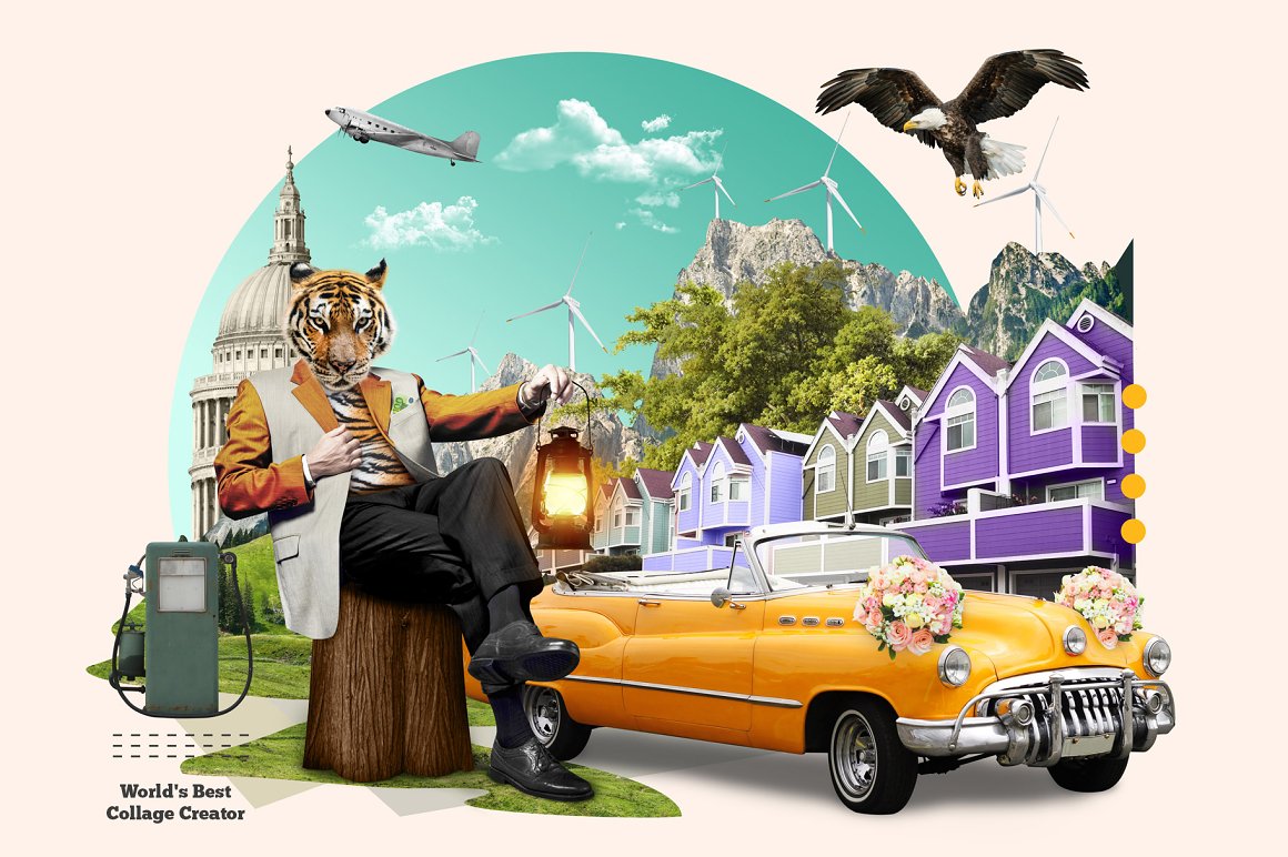 Collage with tiger, man, car, nature, architecture, bird and other illustrations.
