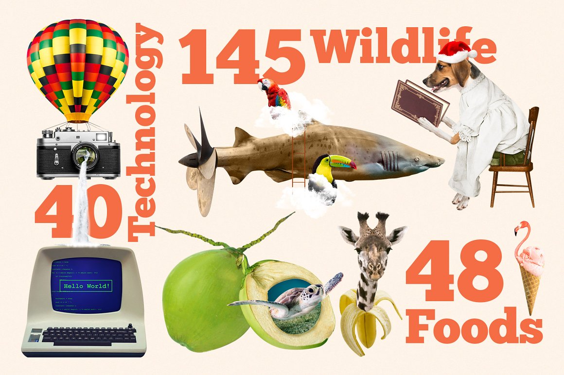 Red lettering "145 Wildlife", "40 Technology" and "48 Foods" and different illustrations on a pink background.