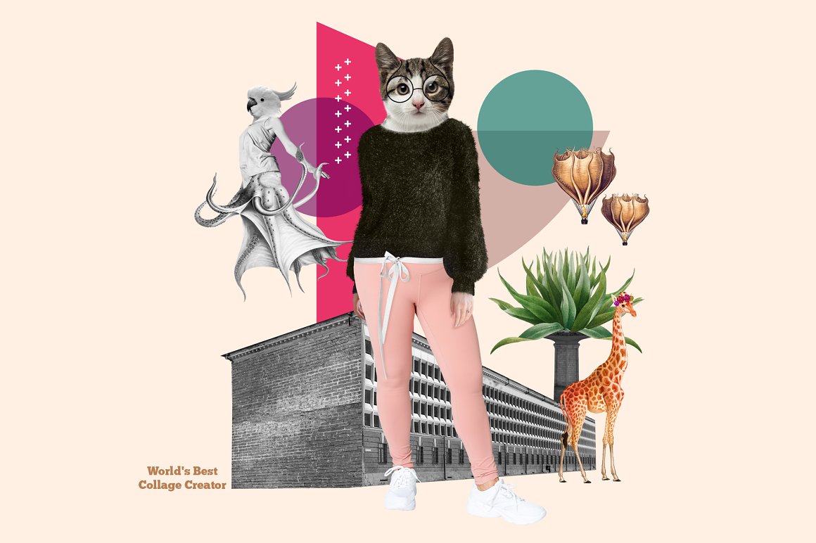 Art collage with cat, girl, giraffe, architecture and other illustrations on a pink background.