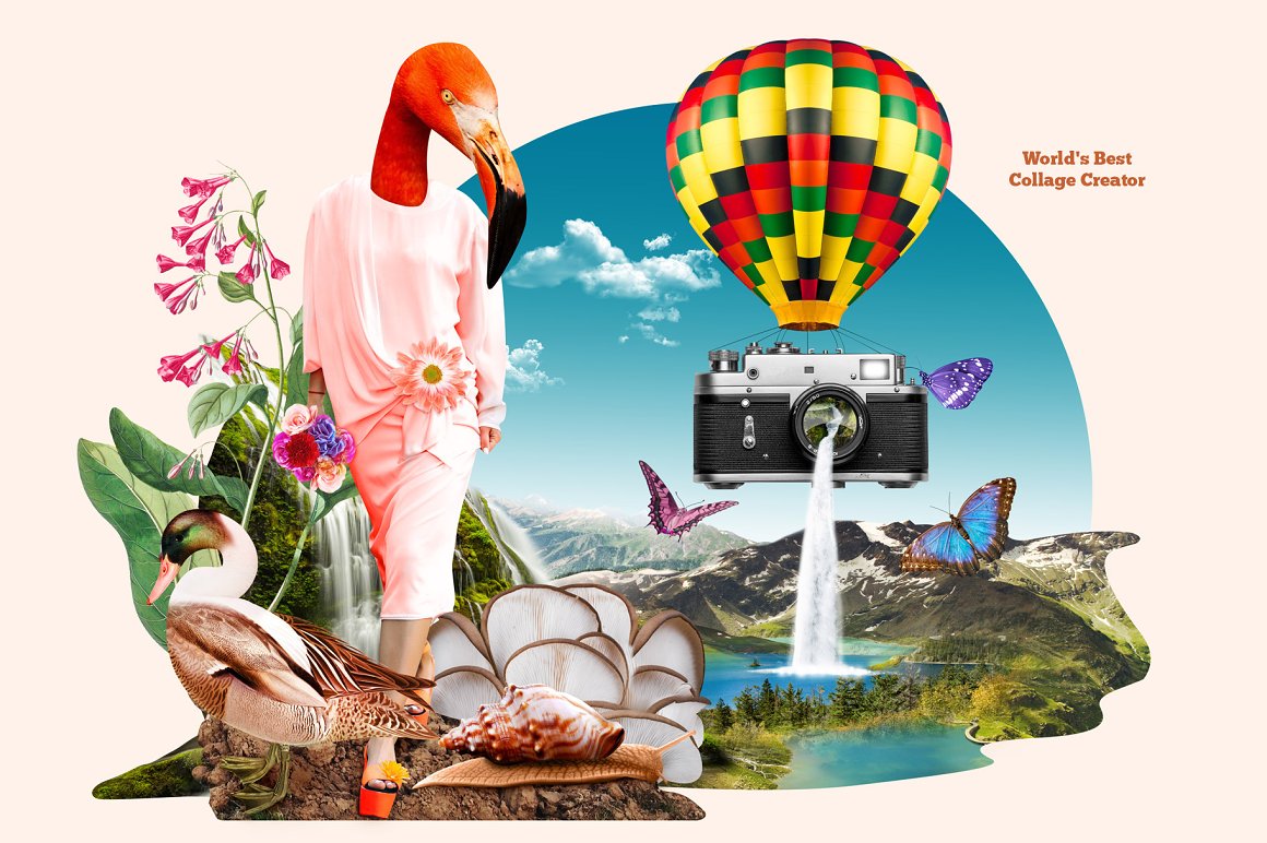 Collage with flamingo, air balloon, butterflies, nature illustrations on a pink background.