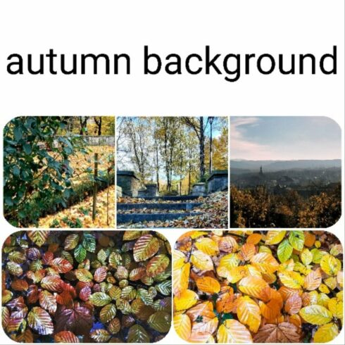 Beautiful Autumn Background Design cover image.