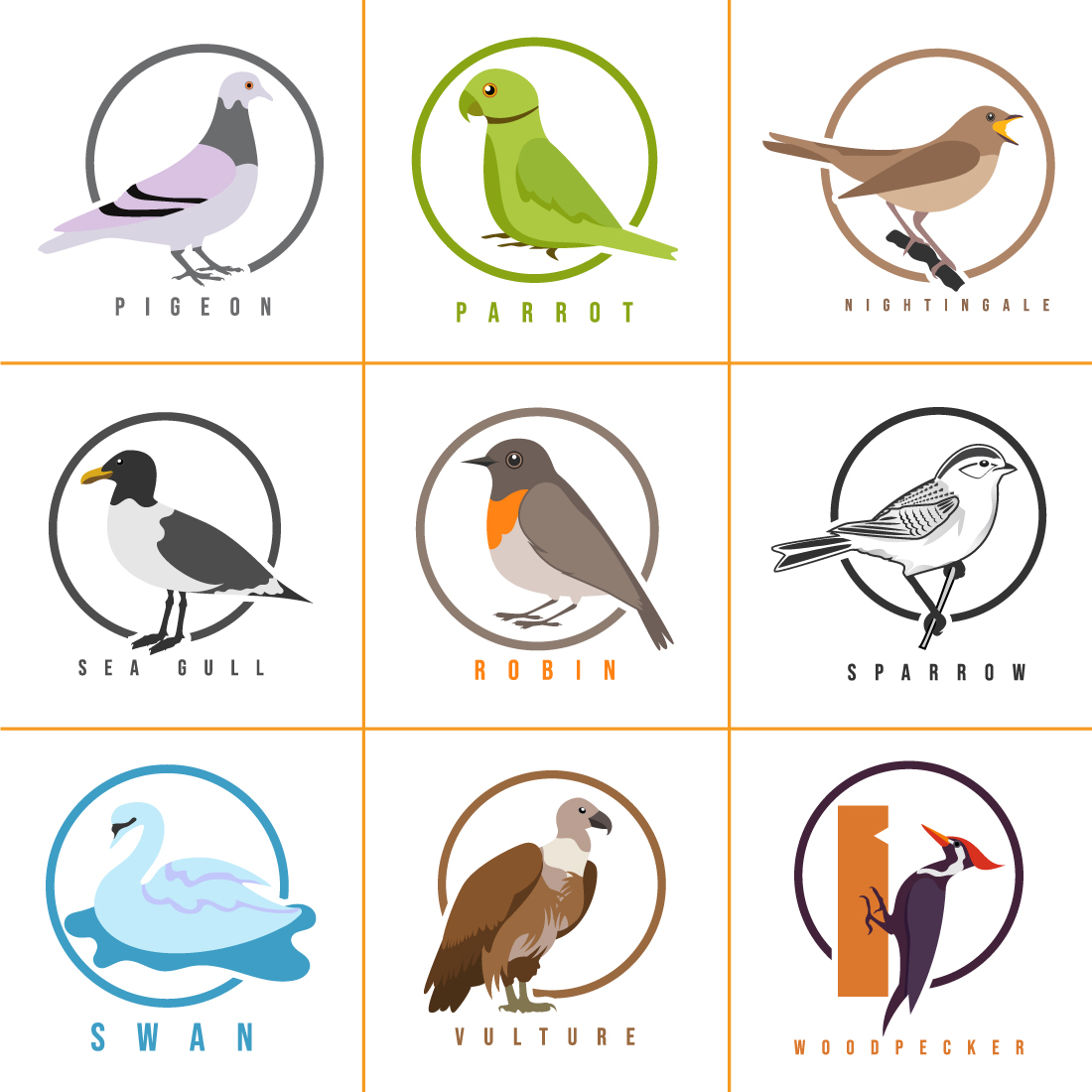 Bird Logo Design Set.