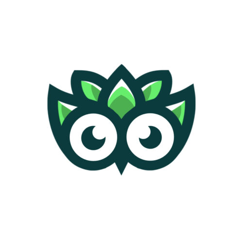 Bird Logo main cover.