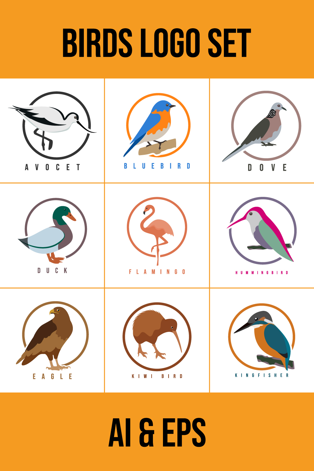 Bird Logo Design Template Pinterest collage image.