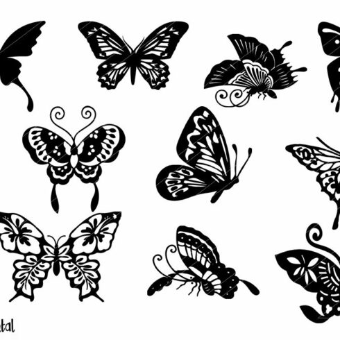 Collection of butterflies with different shapes and sizes.