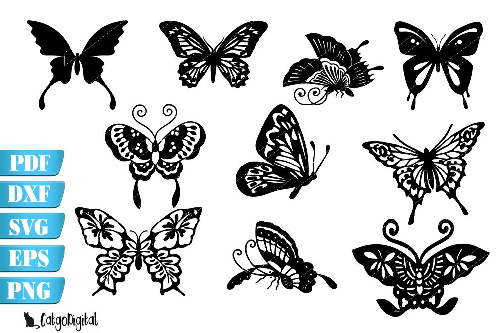 Collection of butterflies with different shapes and sizes.
