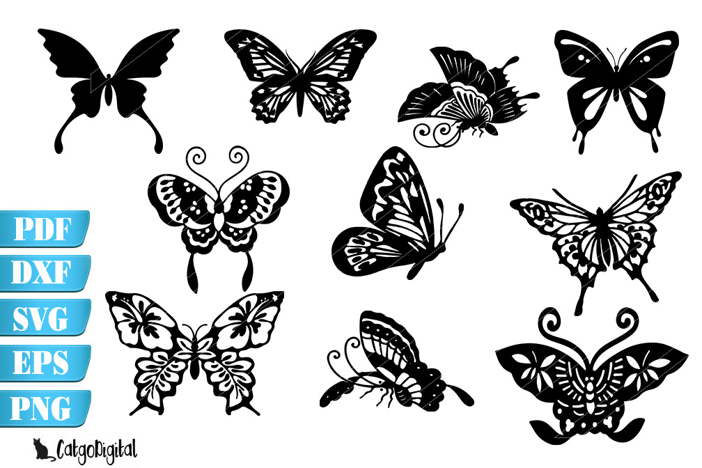 Hãy khám phá những hình dáng tuyệt đẹp của những chú bướm đang di chuyển giữa bóng đen và ánh sáng qua những hình tối giản của nó.