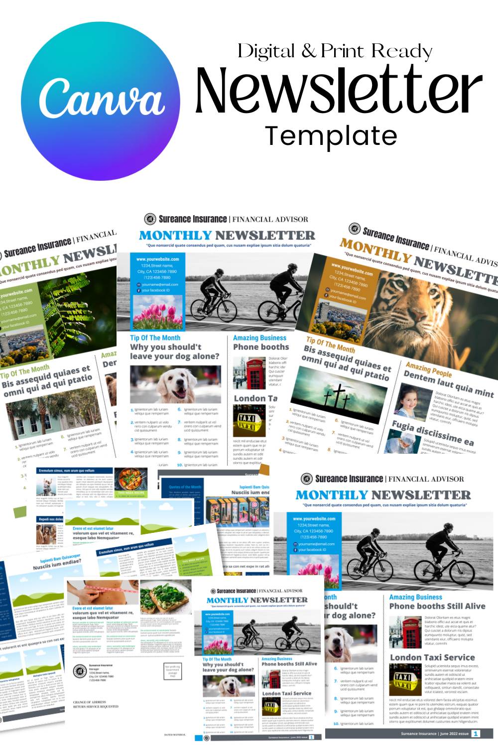 Canva Newsletter Template Financial and Business pinterest image.