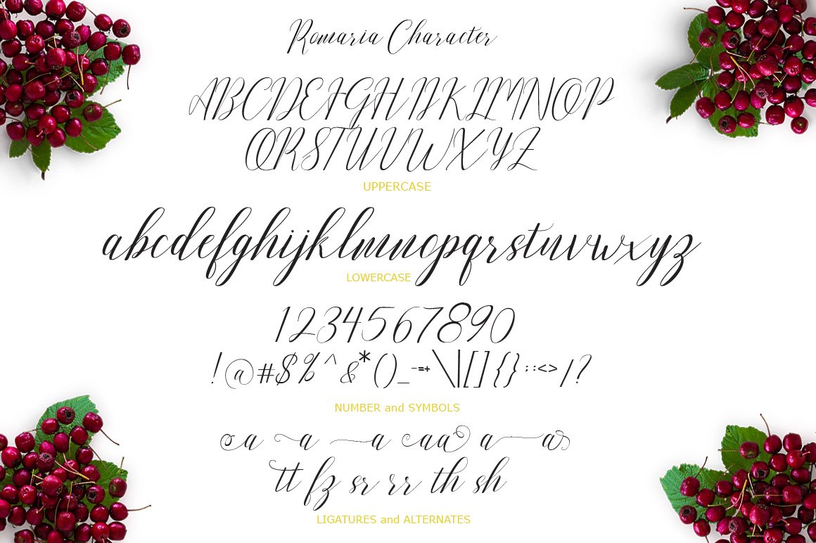 A set of uppercase and lowercase letters, numbers and symbols, ligatures and alternates.