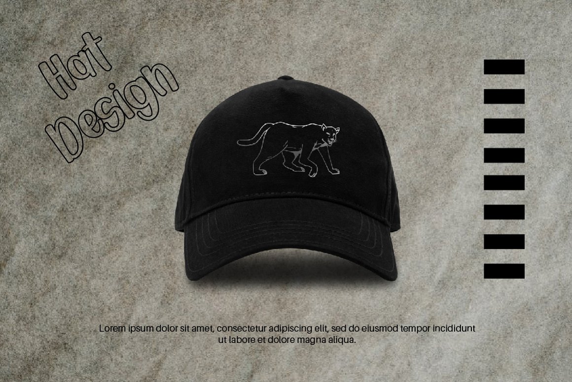 Black hat with leopard design.