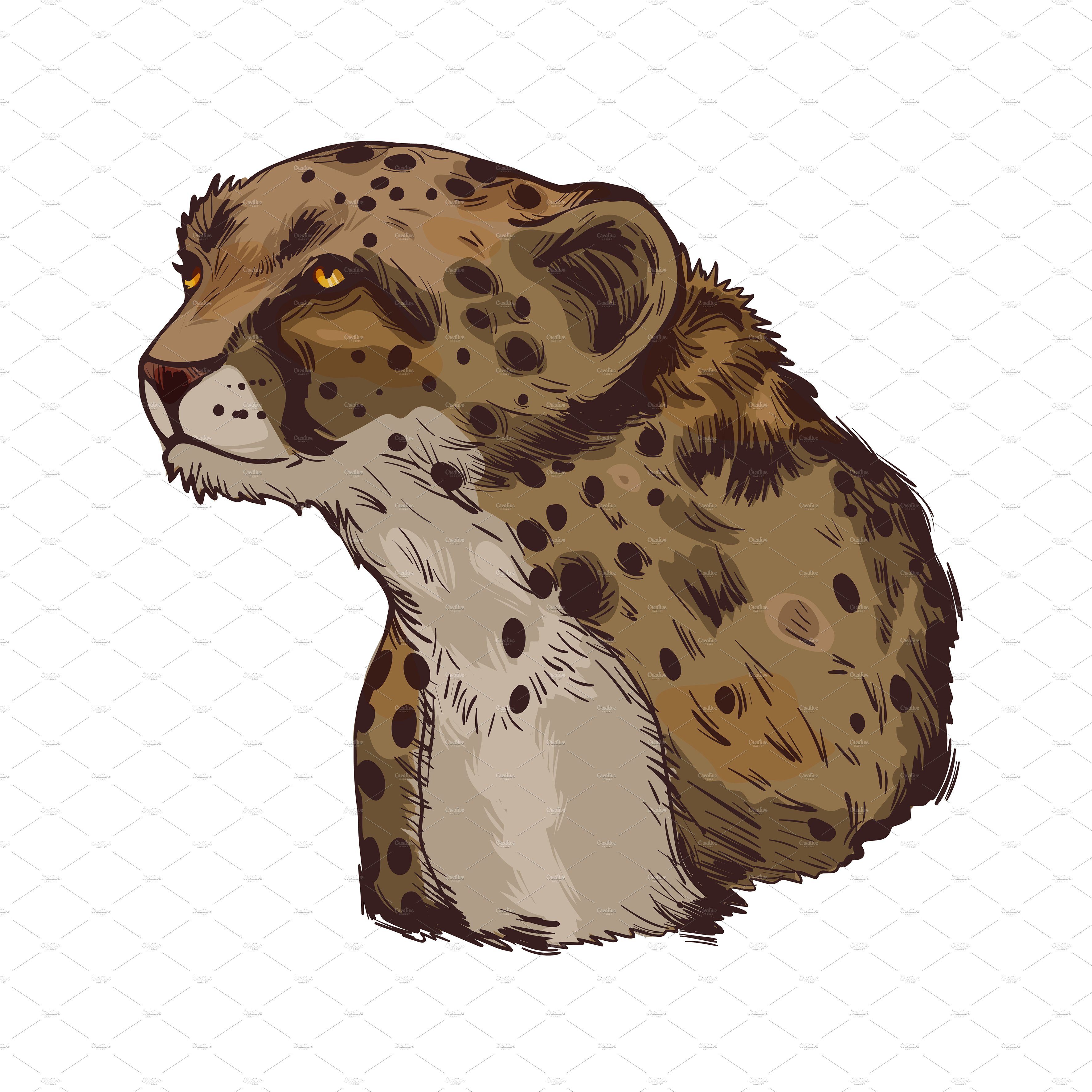 Angry color cheetah.