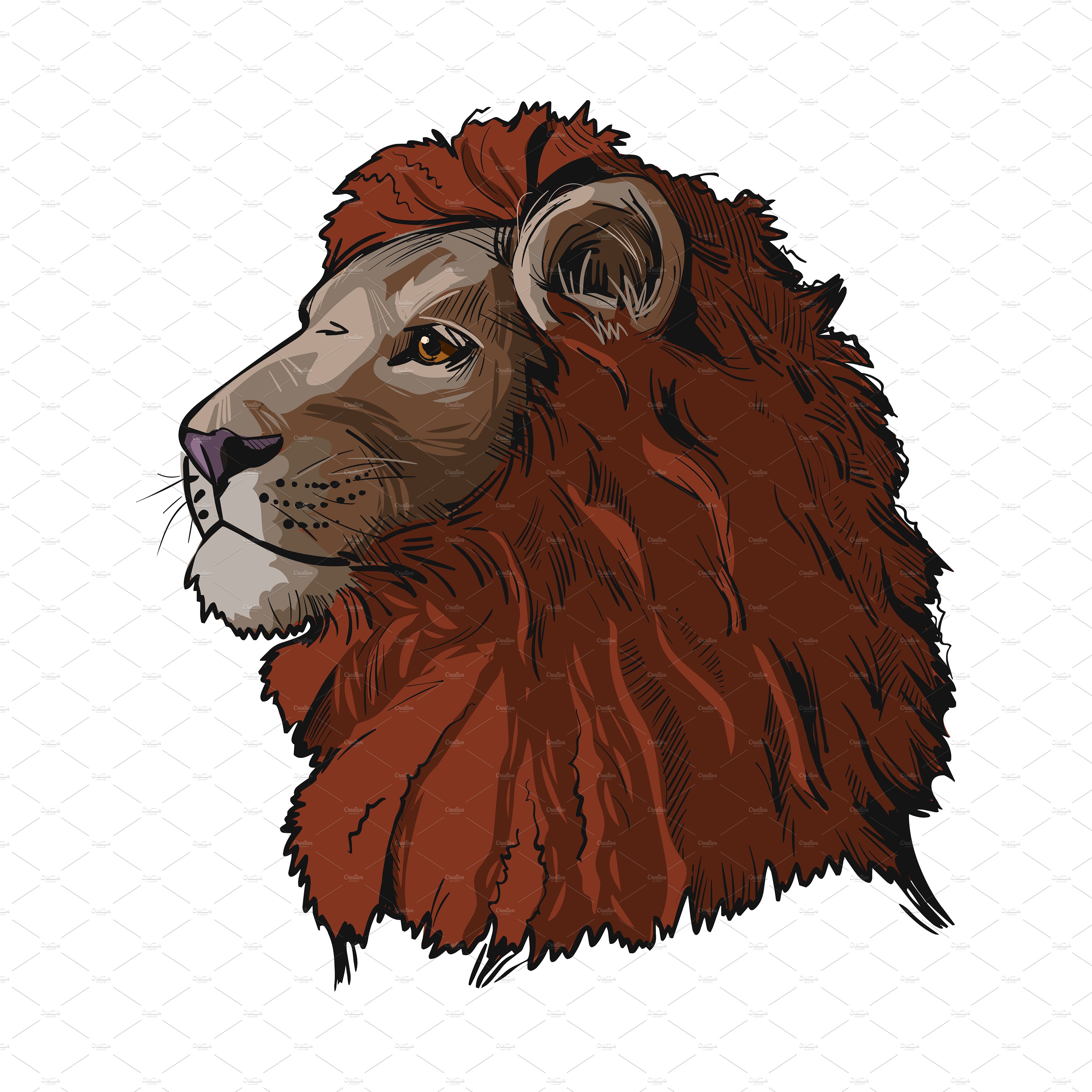 Proud lion in a color.