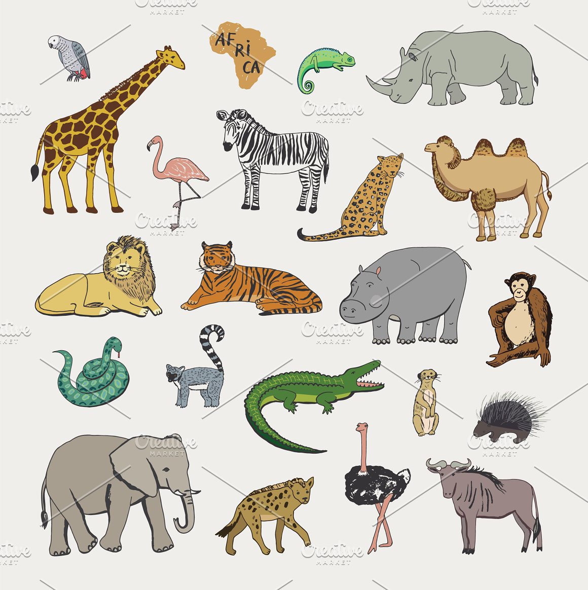 Color set of different african animals on a gray background.