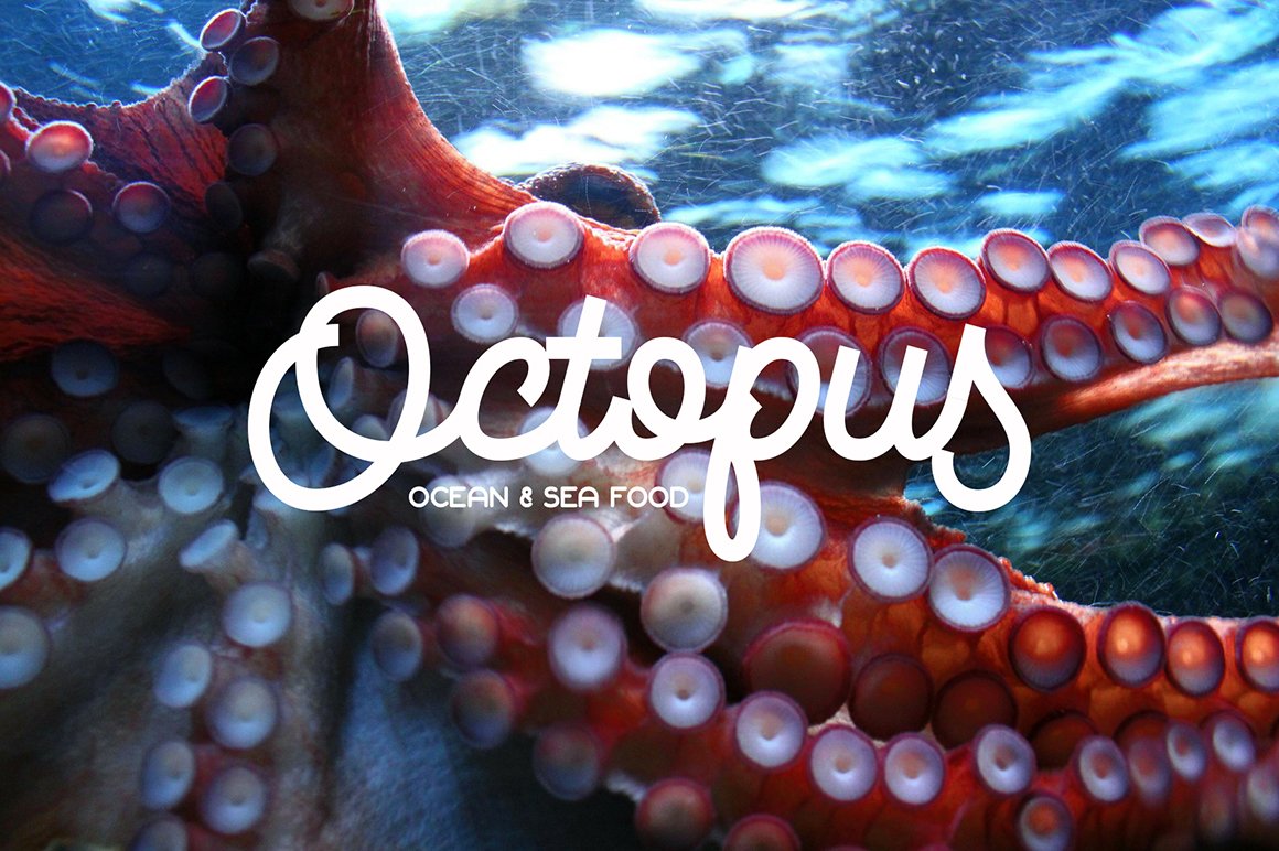 White script lettering "Octopus" on the background of octopus.