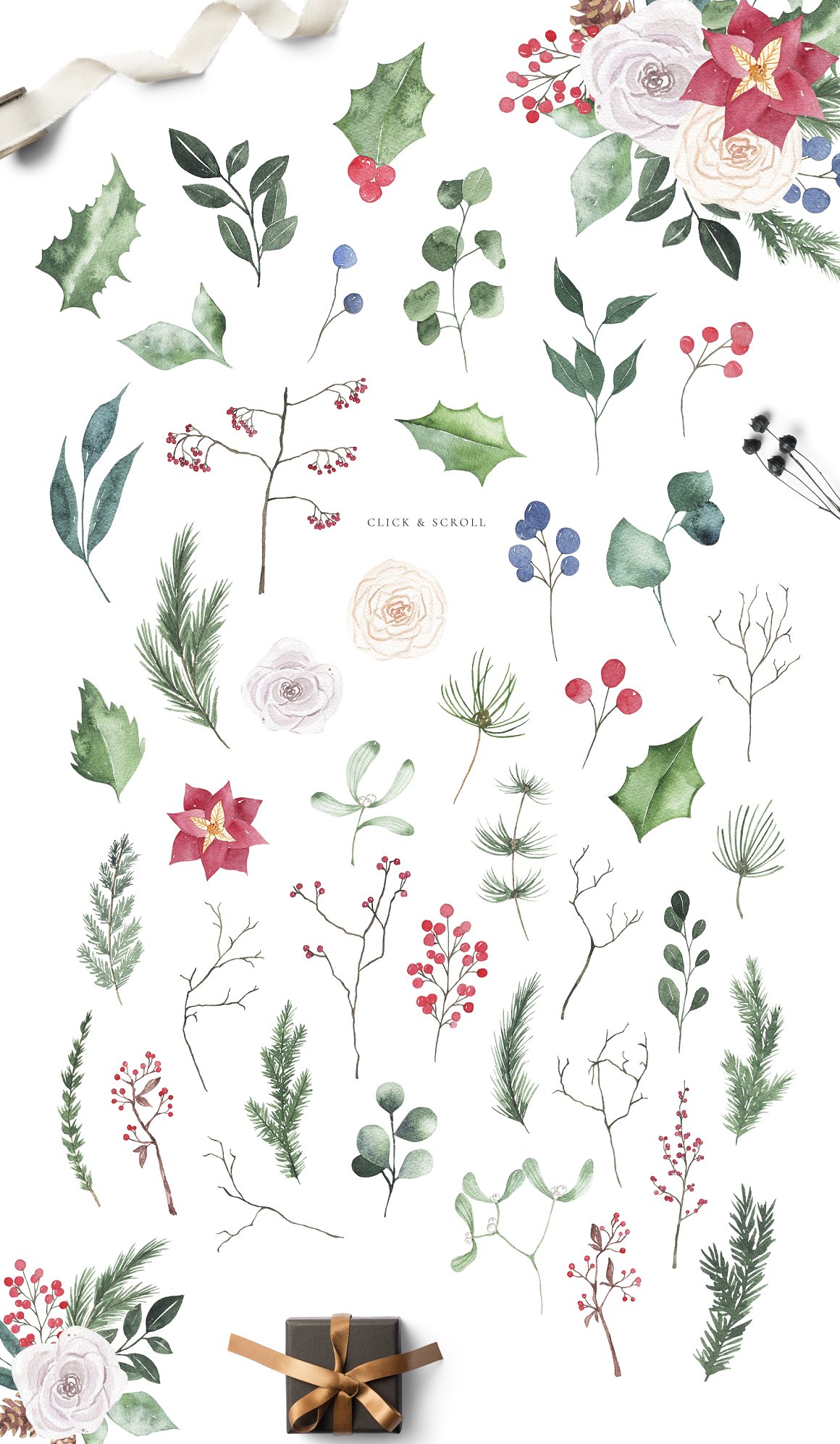 Collection of different floral elements on a white background.