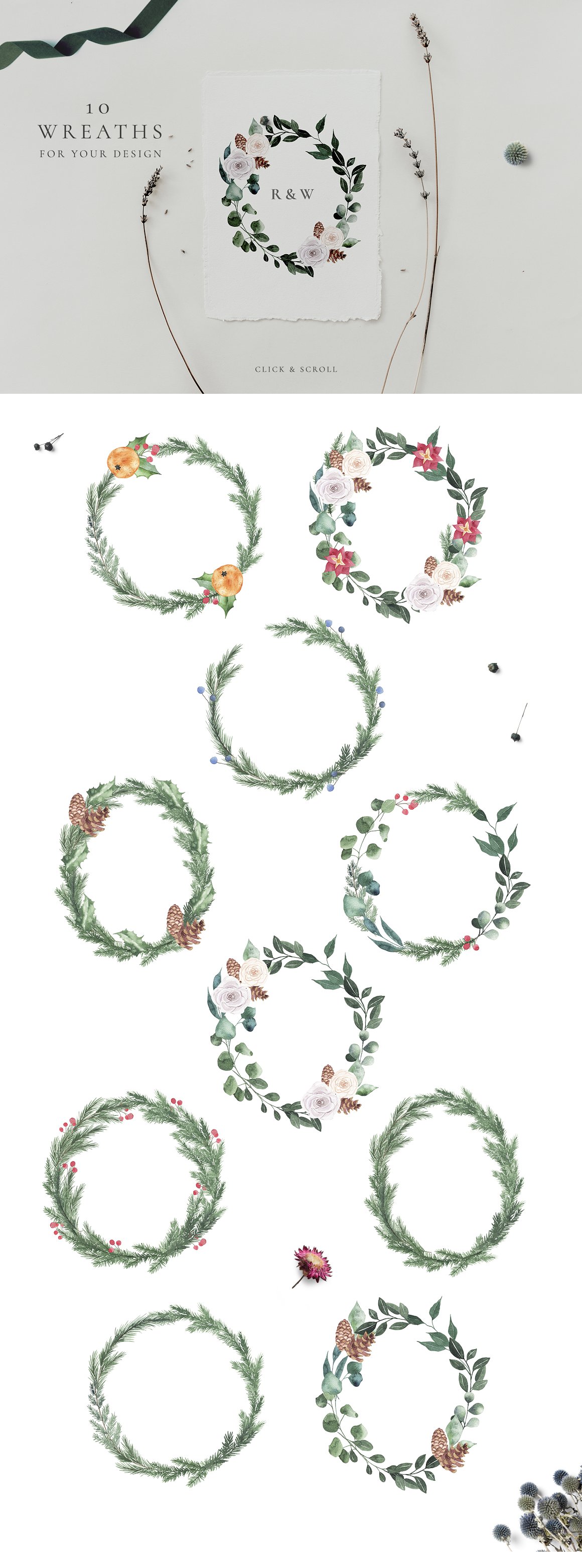Kit of different christmas wreaths on a white background.
