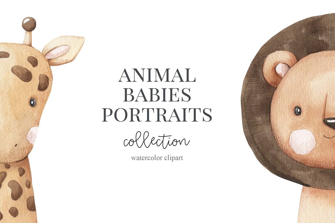 Dark gray lettering "Animal Babies Portraits" and 2 illustrations of animals on a white background.