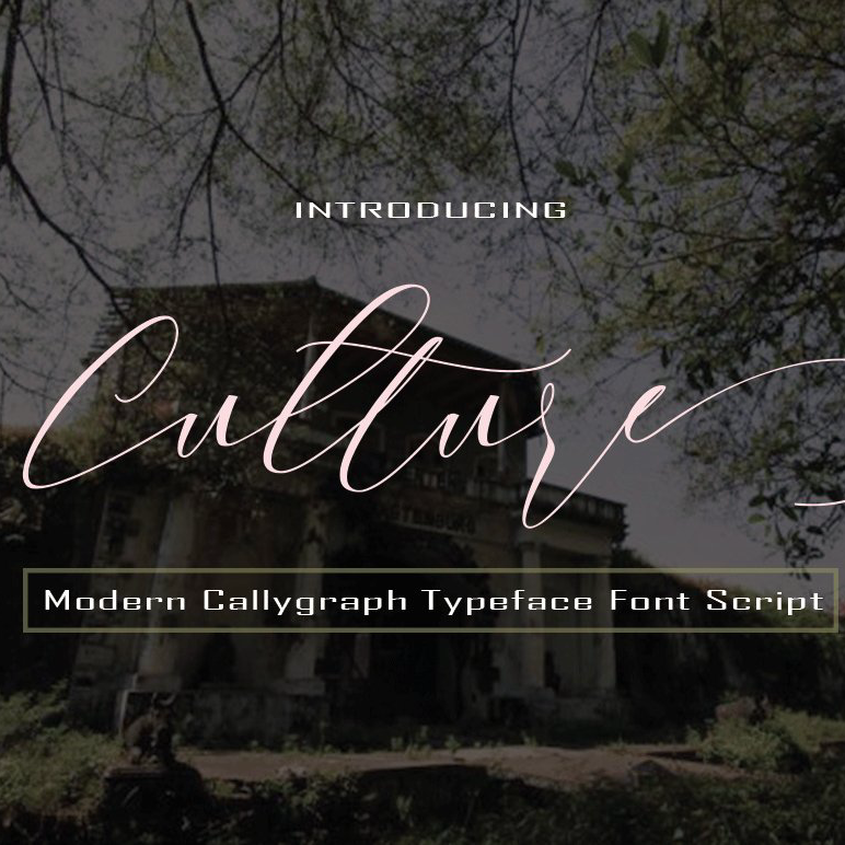 Culture font main image preview.