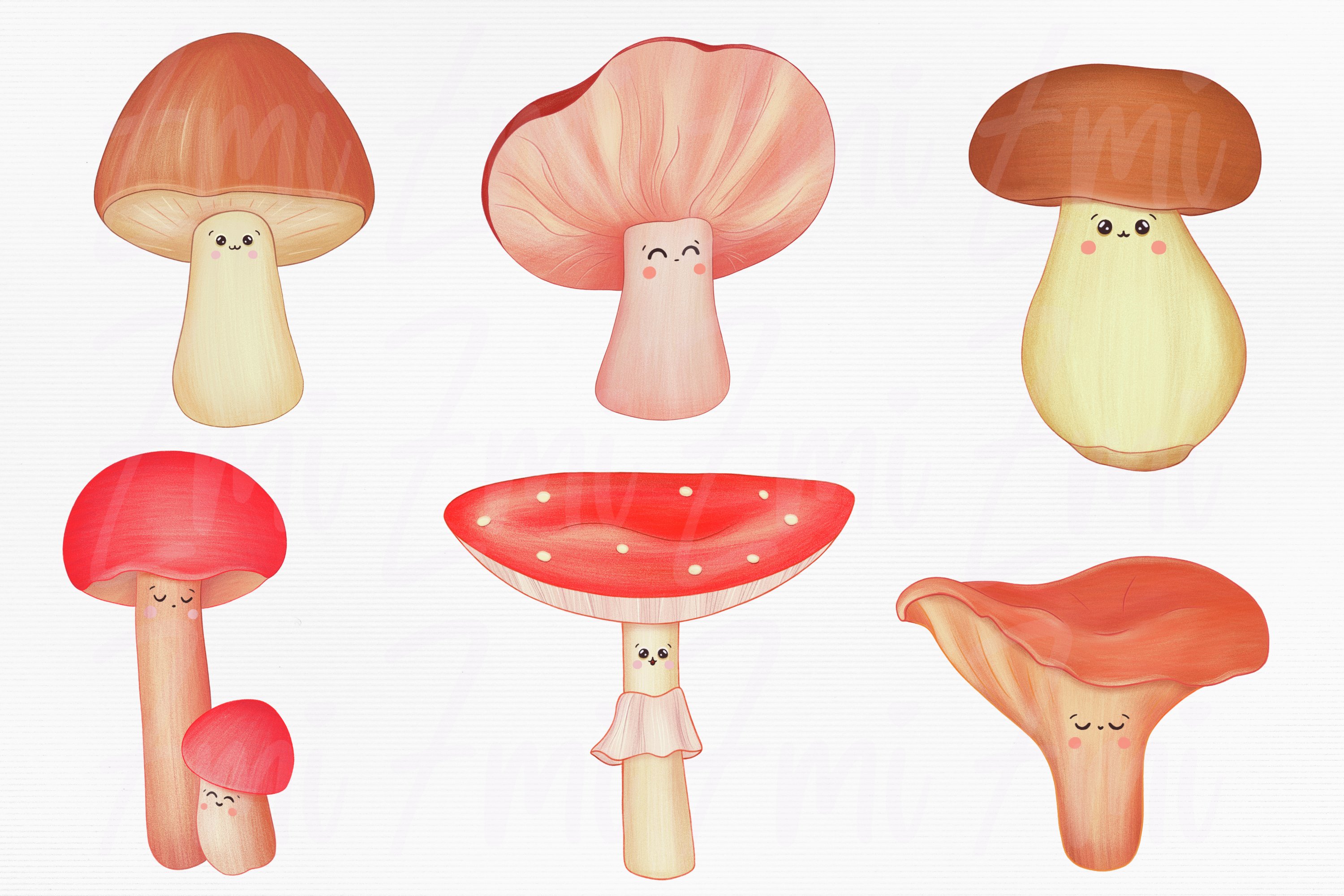 Bundle of 6 different cute mushrooms on a gray background.