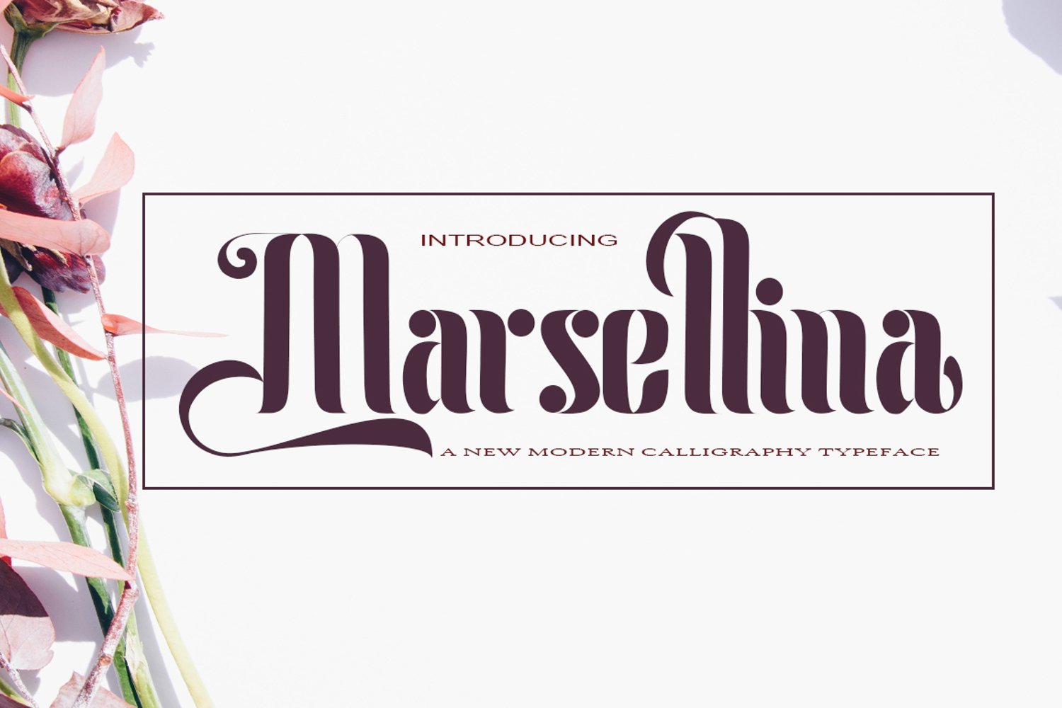 Cover image of Marsellina font.