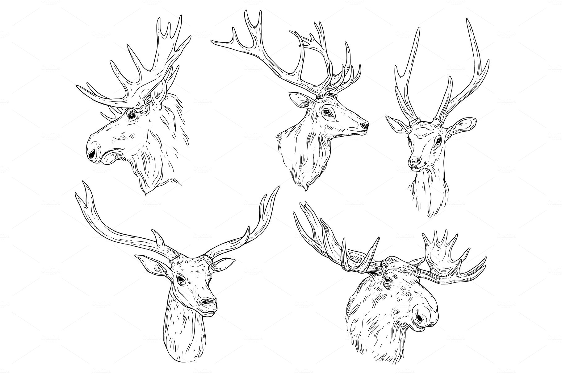 elk outline drawing
