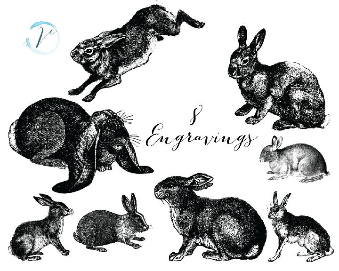 Black hand drawn rabbit for Easter illustration.