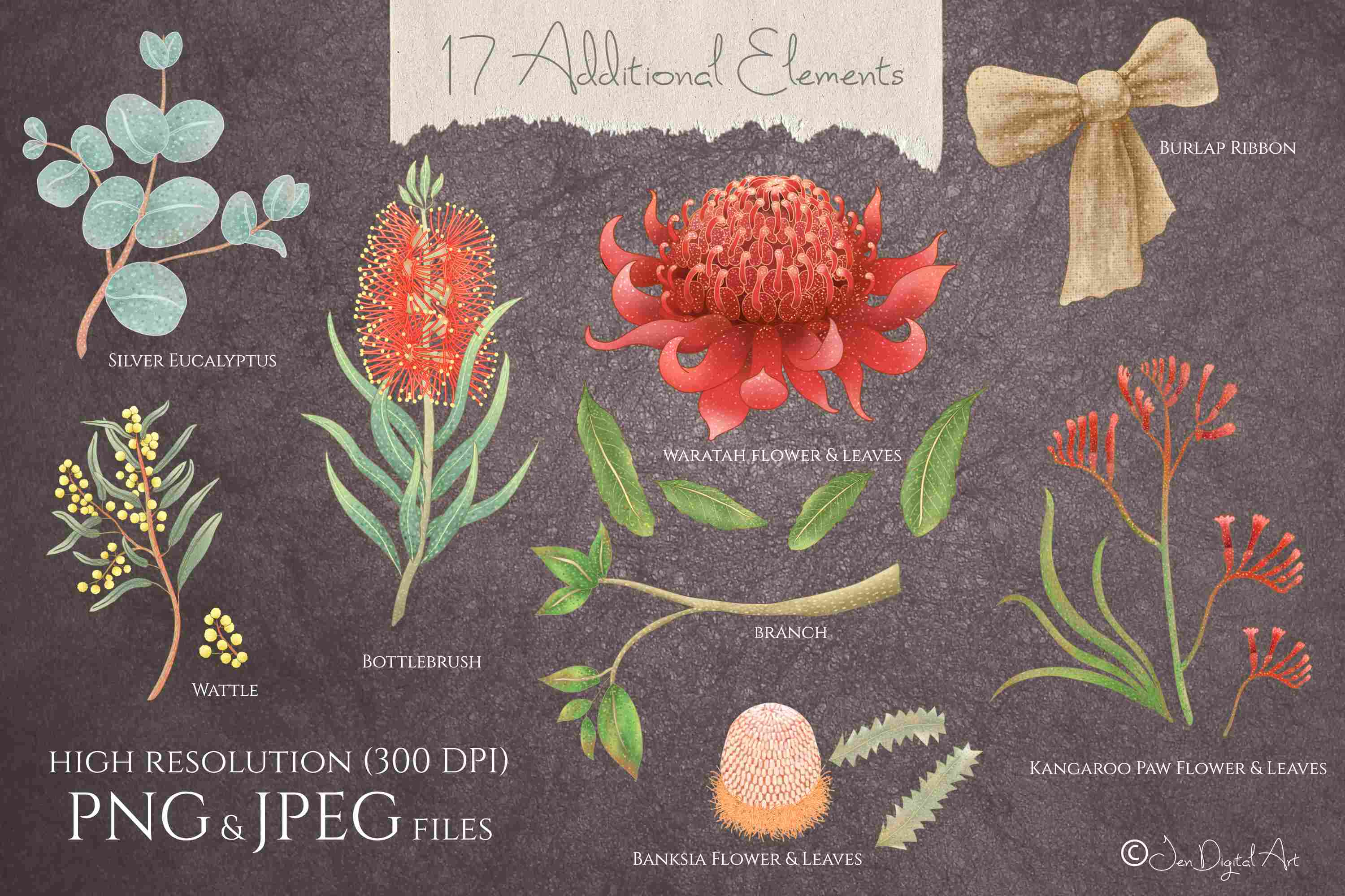 Australian Birds and Flowers Collection Clipart Design preview image.