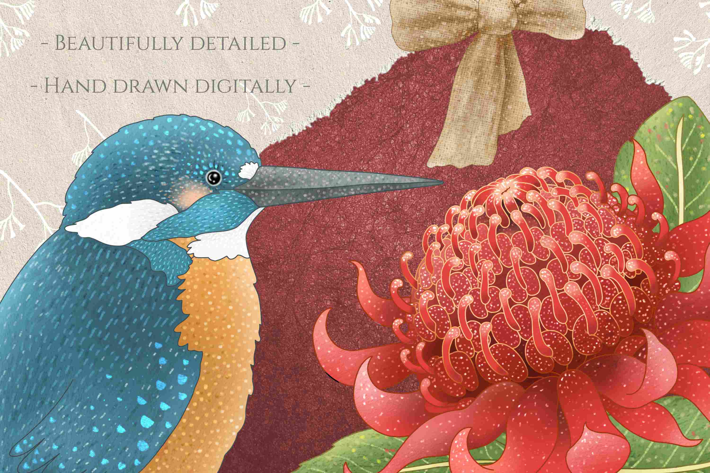 Beautiful Australian Birds and Flowers Collection Clipart Design preview image.