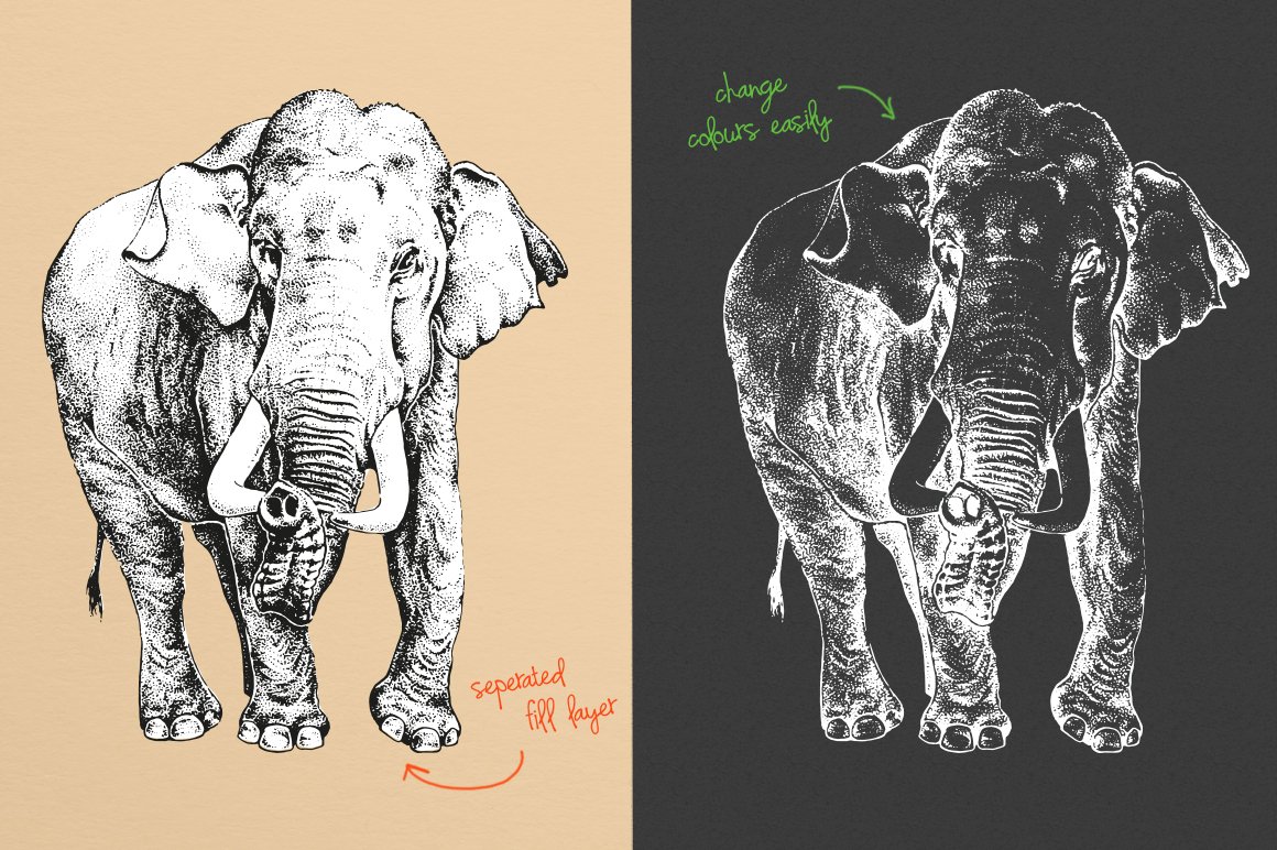 White and gray illustrations of elephant on a pink and dark gray background.