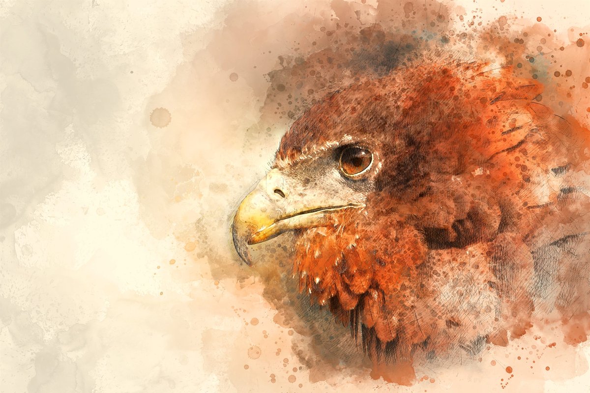 Artist Photoshop Action - eagle head image example.