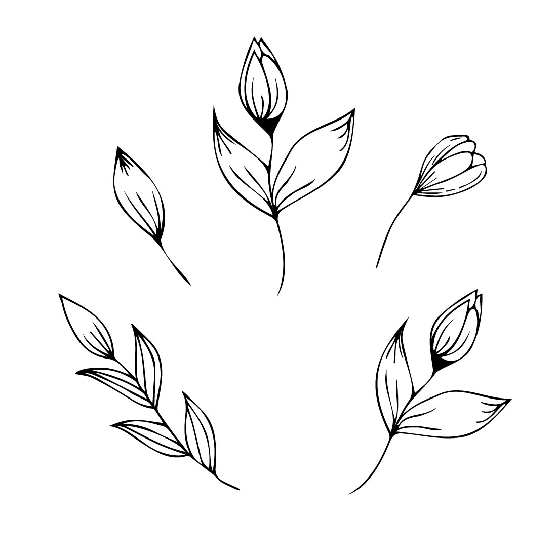 Hand Drawing Floral Elements preview image.
