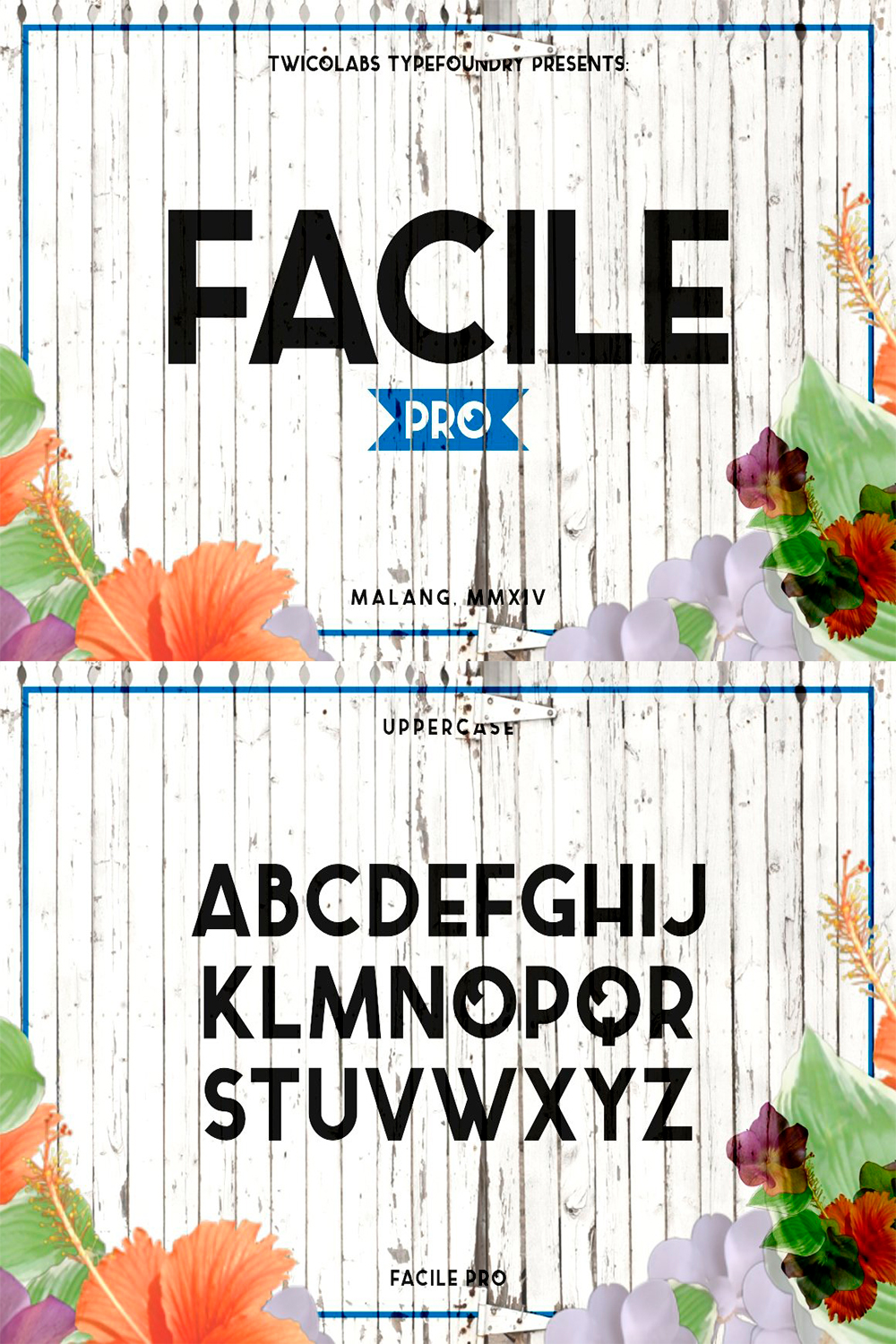 Images with text showing the elegant Facile Pro font.