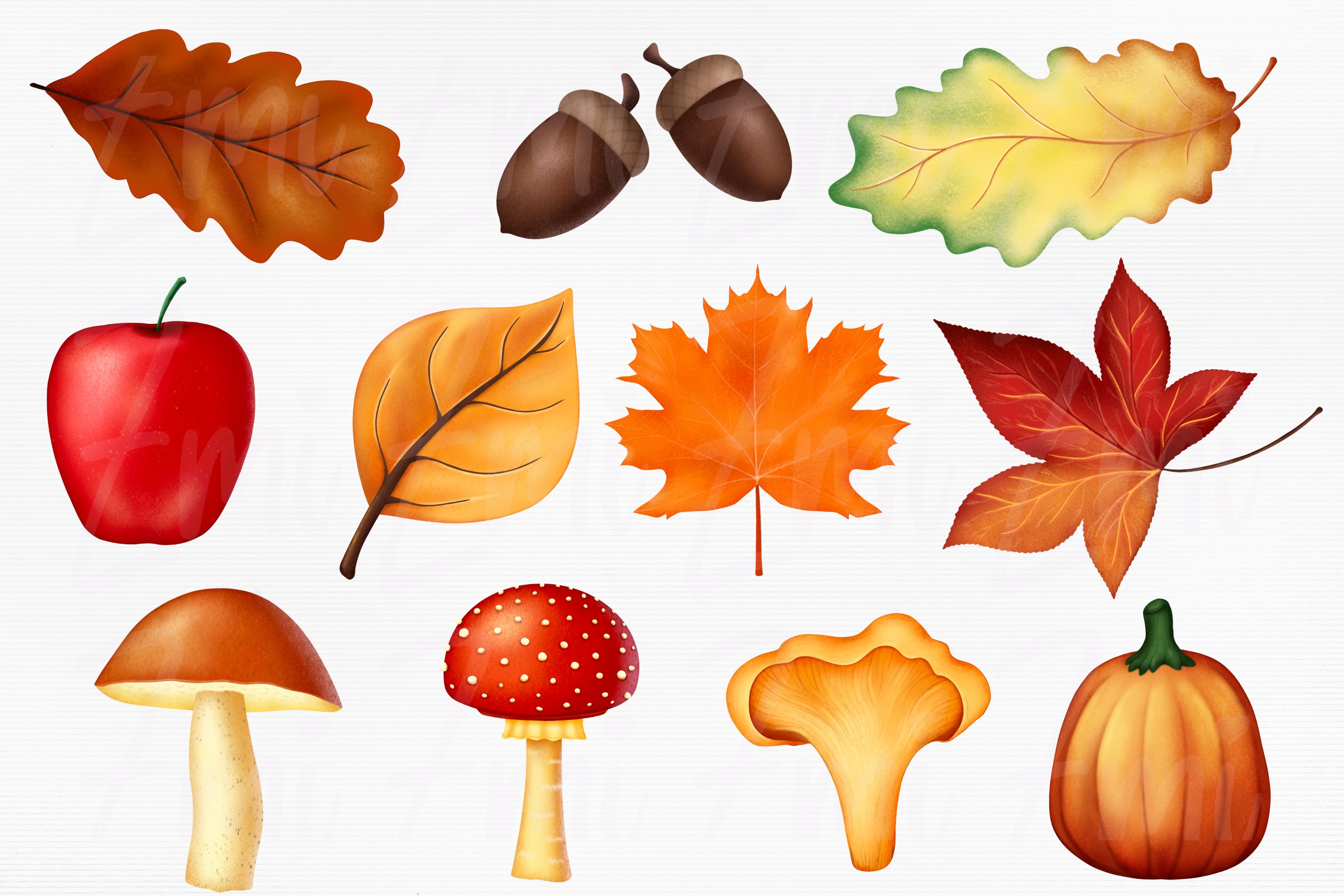 Colorful set of different illustrations of fall leaves and mushrooms on a gray background.
