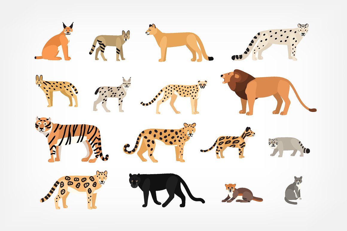 A set of 16 different animal illustrations on a gray background.