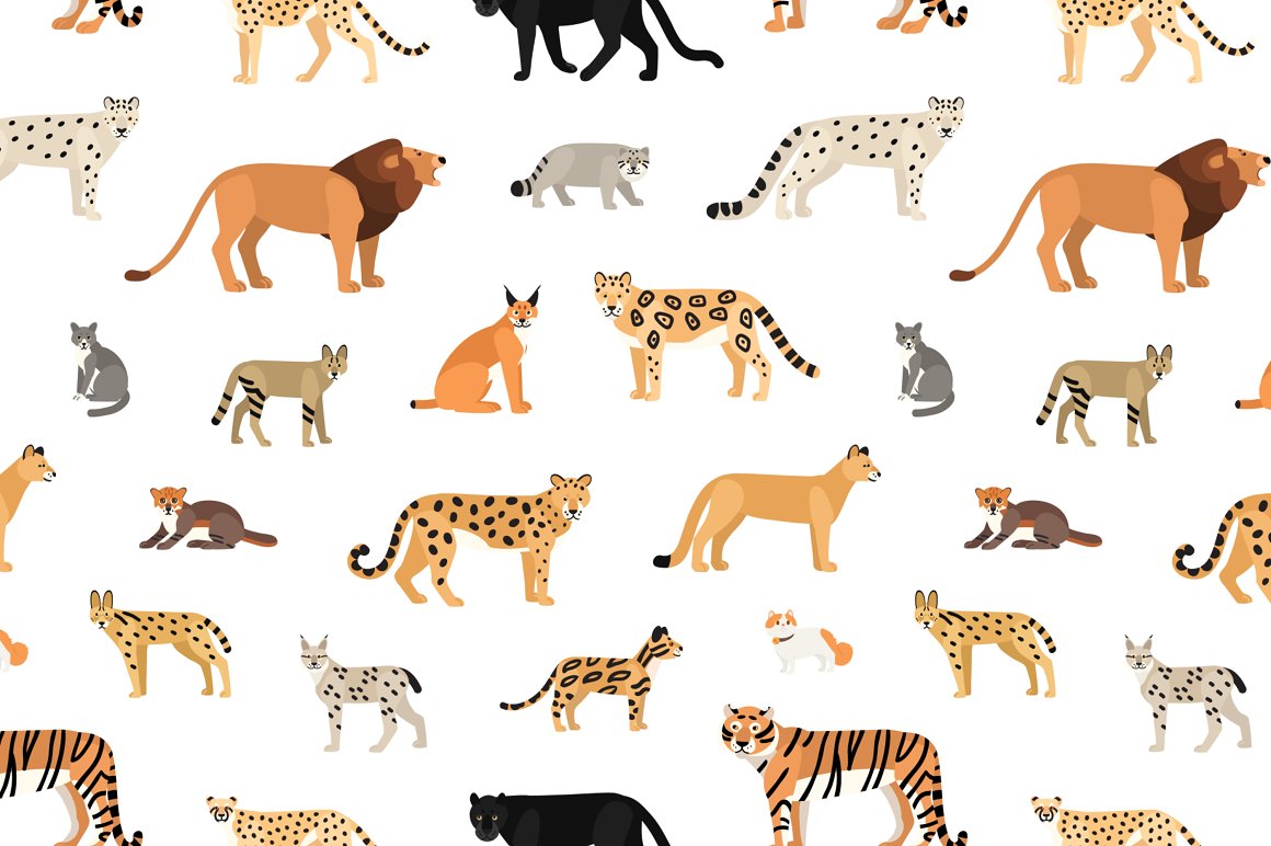 A lot of different illustrations of cats family or Felidae on a white background.