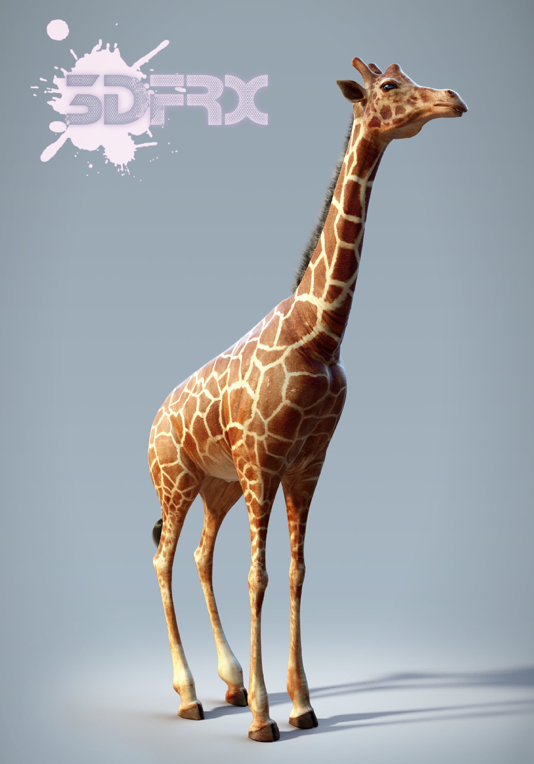 Rendering of a beautiful 3d model of a giraffe