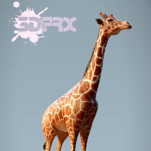 Amazing giraffe 3d model rendering