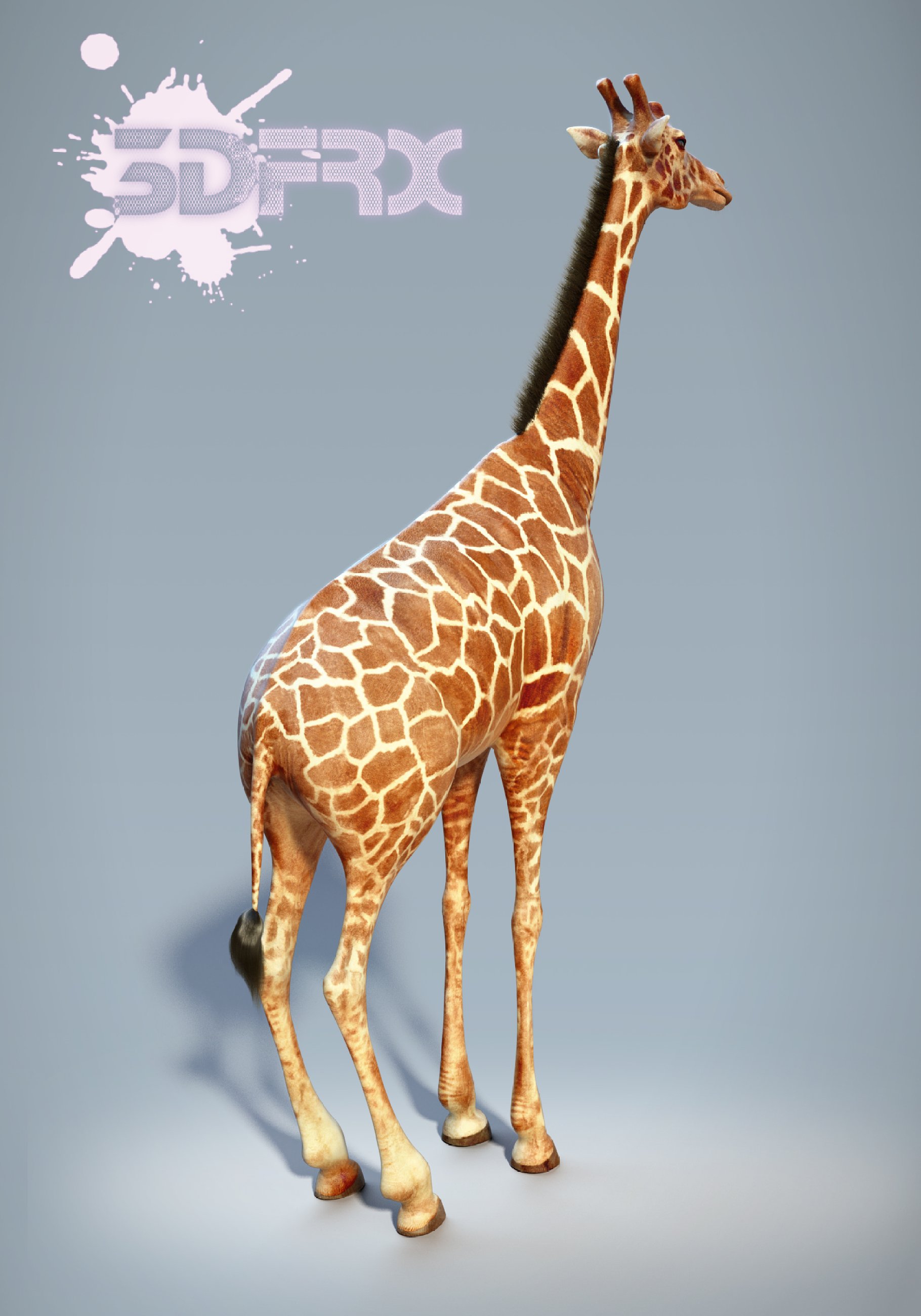 Rendering of a wonderful 3d model of a giraffe rear view