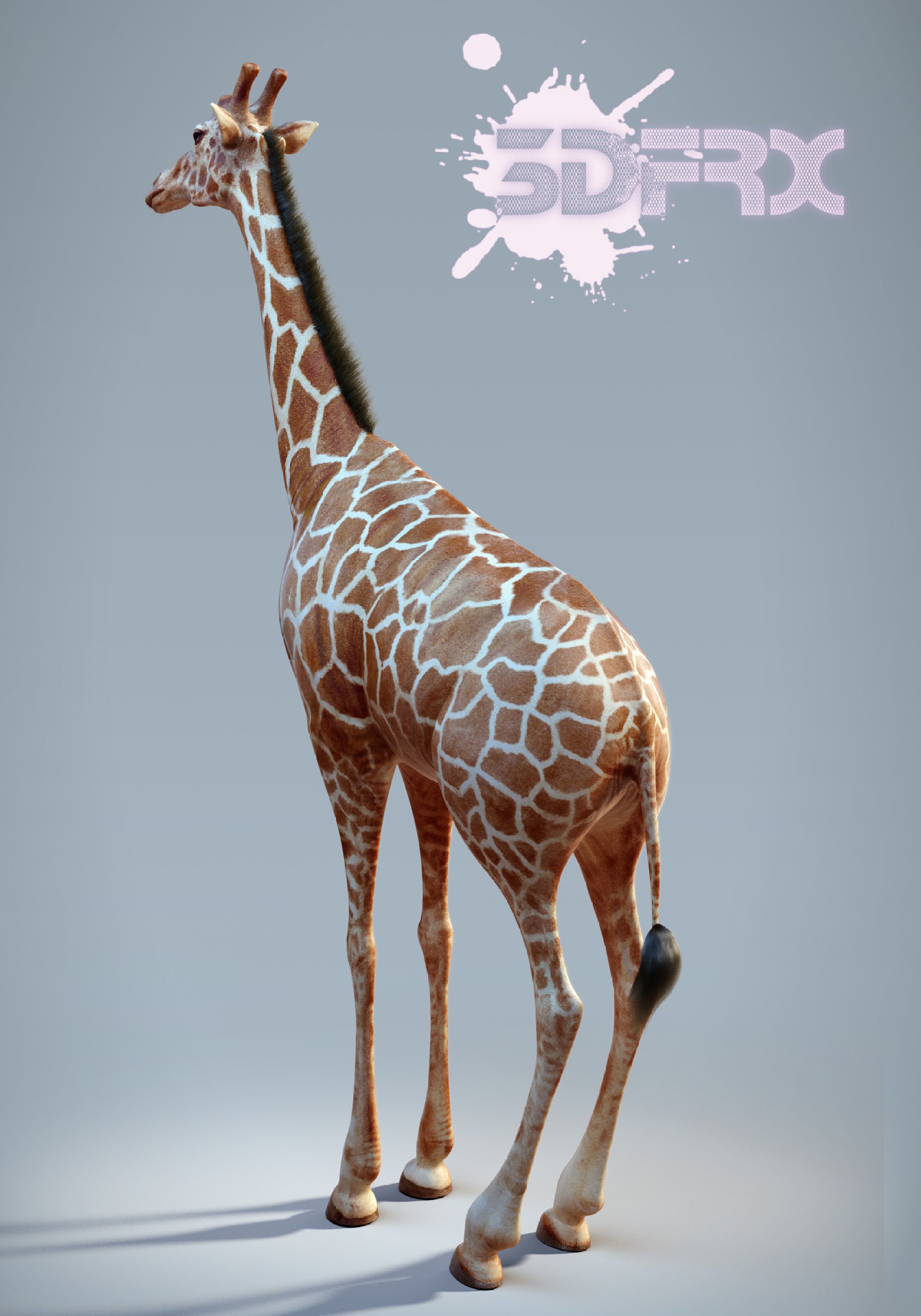 Rendering of an enchanting 3d model of a giraffe back view