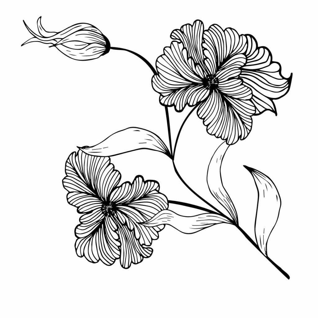 Beautiful Flower Hand drawing Arrangement - MasterBundles