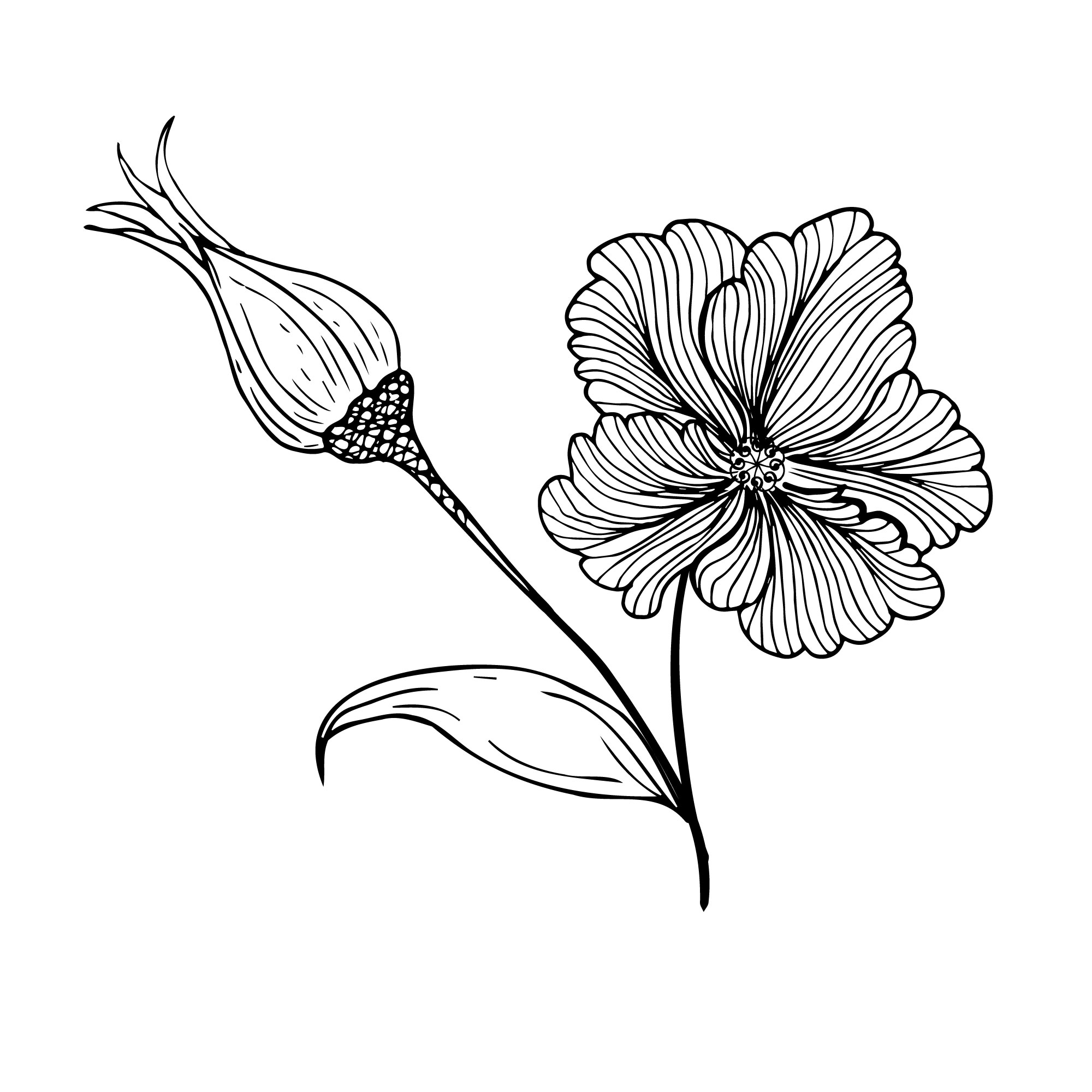 Beautiful Flower Hand drawing Arrangement preview image.