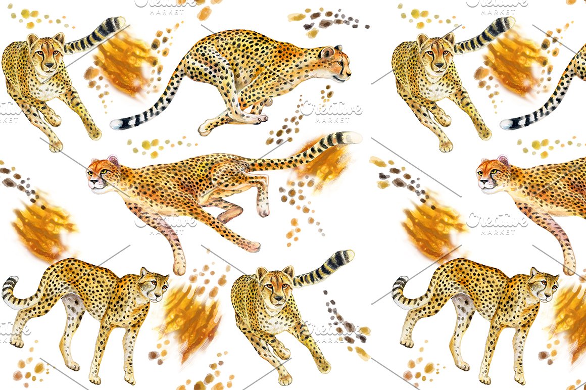 A set of different illustrations of gepard on a white background.
