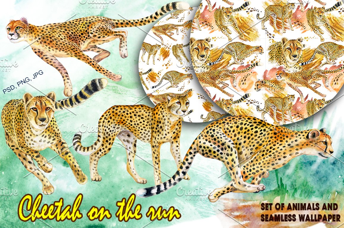 Yellow lettering "Cheetah On The Run" and different illustrations of cheetah.