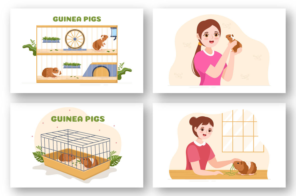 High quality illustrations of guinea pig life.