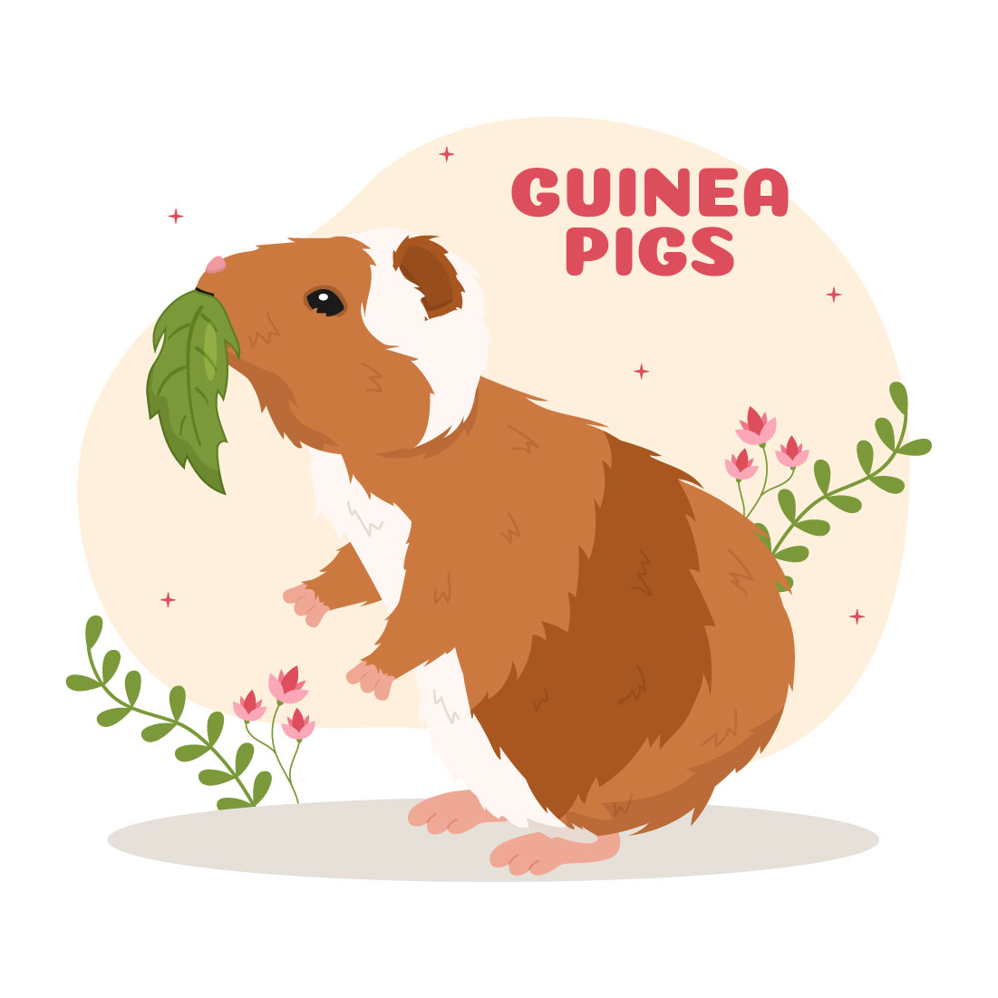 10 Guinea Pig Pets Illustration cover image.