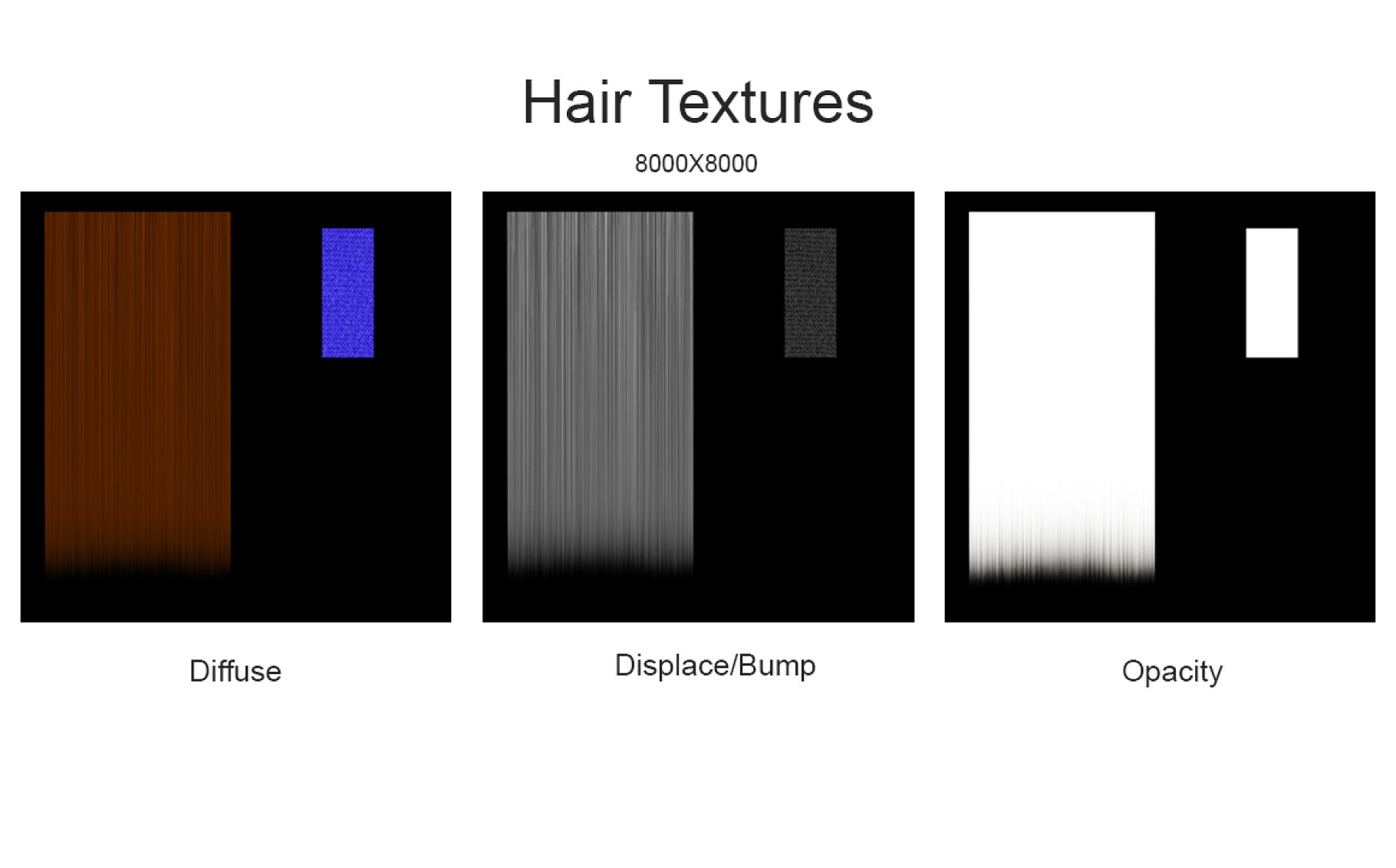 Diffuse, displace/bump and opacity hair textures.