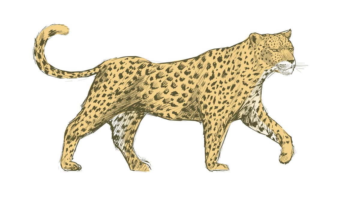 So realistic hand drawn leopard.
