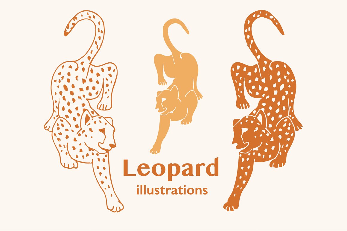 3 brown illustrations of leopard and brown lettering "Leopard Illustrations" on a pink background.