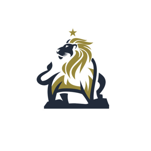 Lion Star Logo Design cover image.