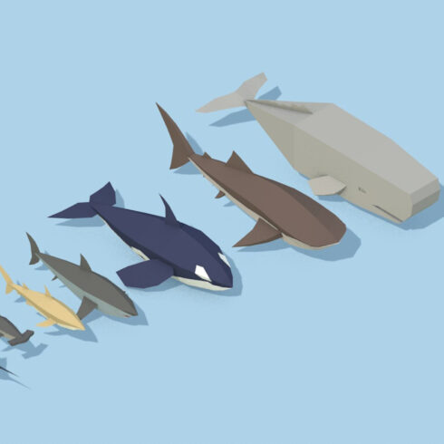 Low Poly Pirate Sea Animals.